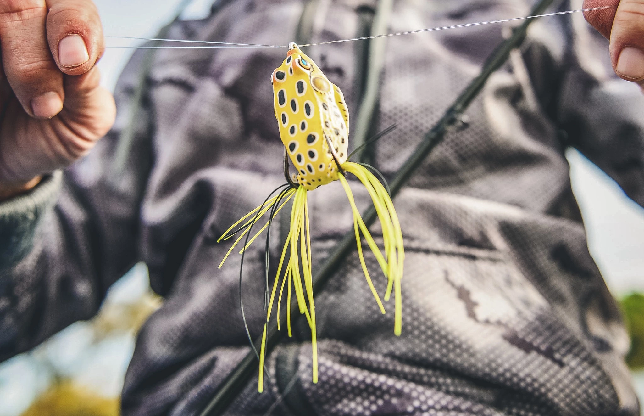 Roofvis Winkel -Roofvis Winkel 256776123 5178287295520398 4313036098289083838 n