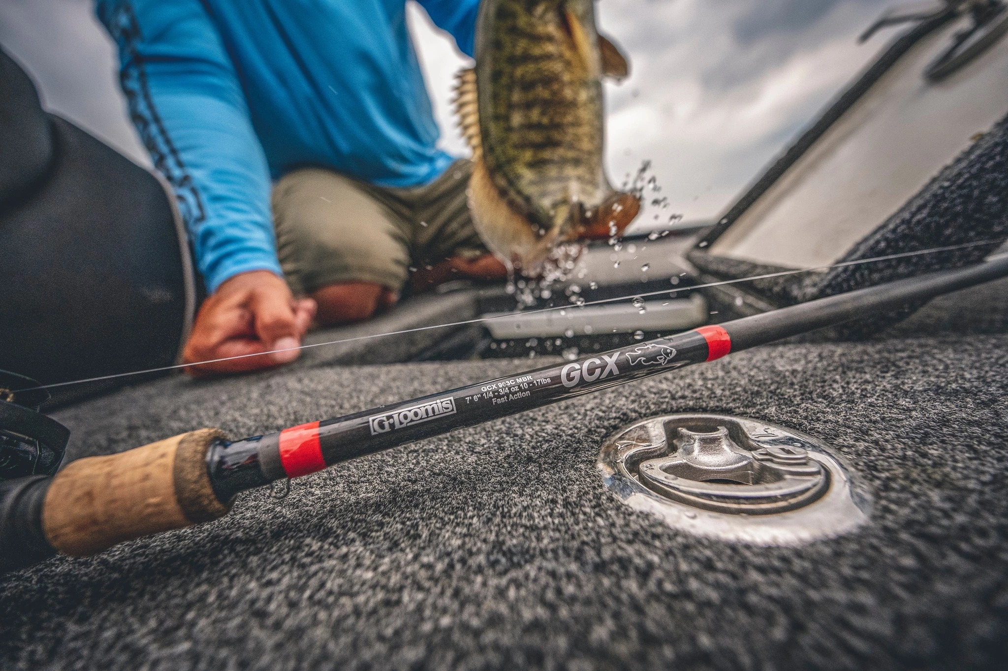 Roofvis Winkel -Roofvis Winkel 269428538 5299597916722668 6386021793822376426 n