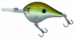 Albatros Catch 21 Fat Belly Ayu