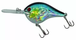 Albatros Catch 21 Fat Belly Flipper