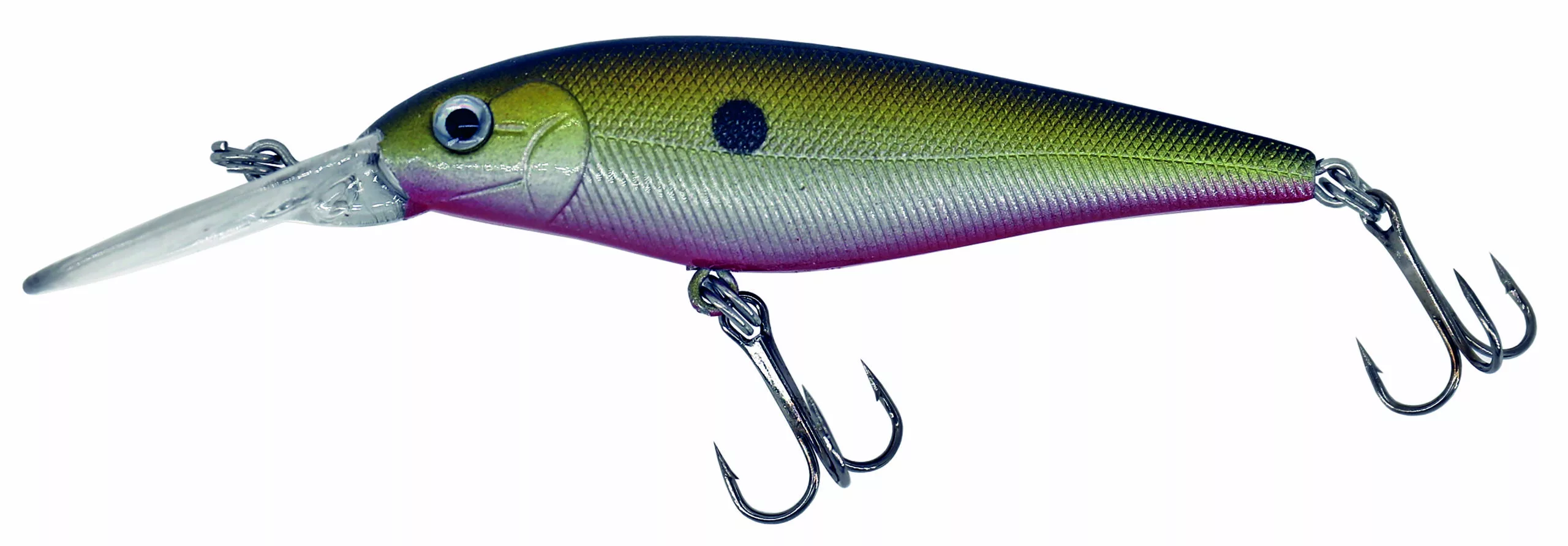 Albatros Catch 21 Cracker Ayu 3 Albatros Catch 21 Cracker Ayu