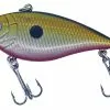 Albatros Catch 21 Rattlin Shad Ayu -Roofvis Winkel 52223 scaled 1
