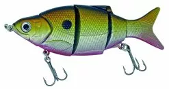 Albatros Catch 21 Rattelsnake Ayu