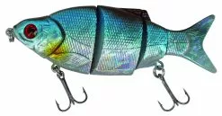 Albatros Catch 21 Rattelsnake Flipper