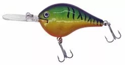 Albatros Catch 21 Fat Belly Firetiger