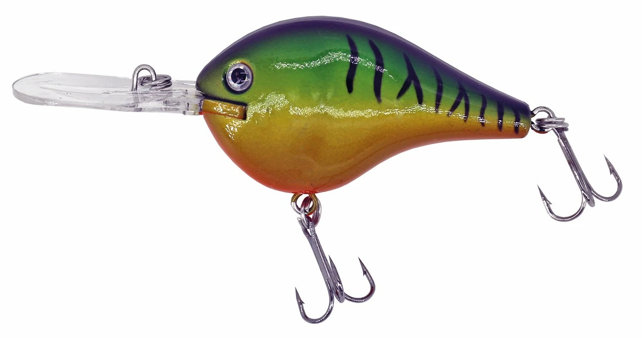 Albatros Catch 21 Fat Belly Firetiger 3 Albatros Catch 21 Fat Belly Firetiger