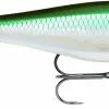 Rapala BX Minnow BBH -Roofvis Winkel BXM10 BX MINNOW BBH RA5813020
