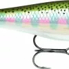 Rapala BX Minnow RT