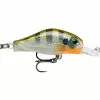 Rapala Shadow Rap Fat Jack BG -Roofvis Winkel SHADOW RAP FAT JACK SDRFJ04 BG RA5821040 medium